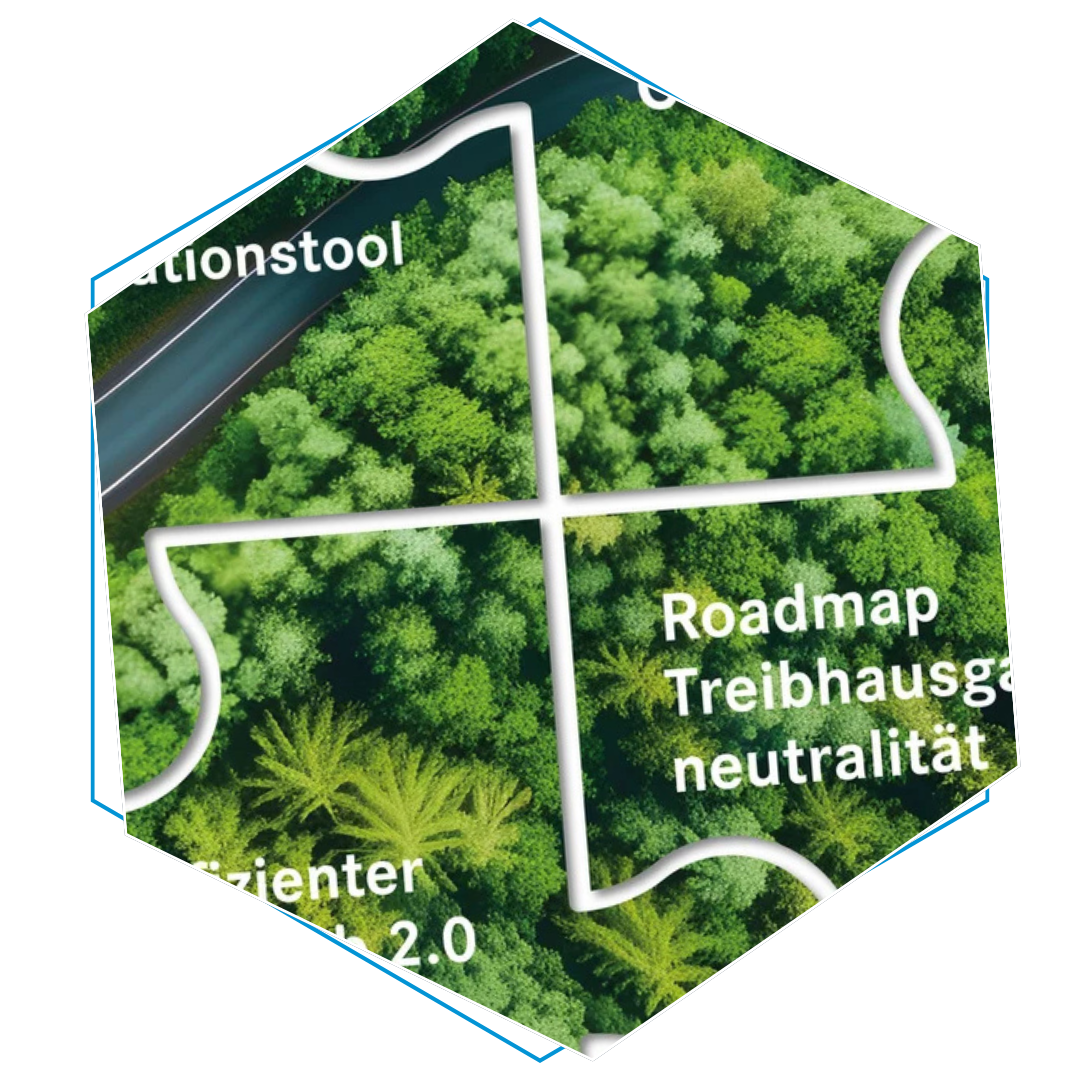 Roadmap